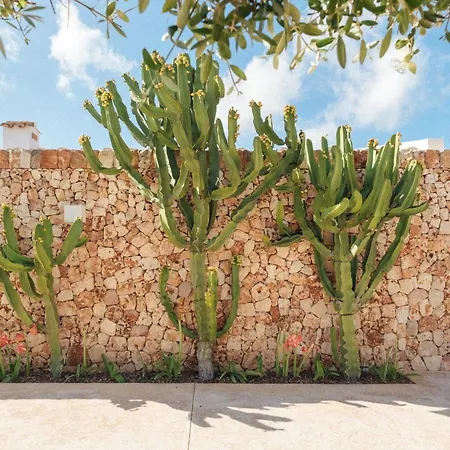 Ses Talaies * Ciutadella (Menorca)