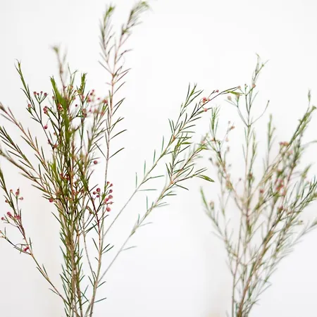 Alloggio per agriturismo Ses Talaies Ciutadella (Menorca)